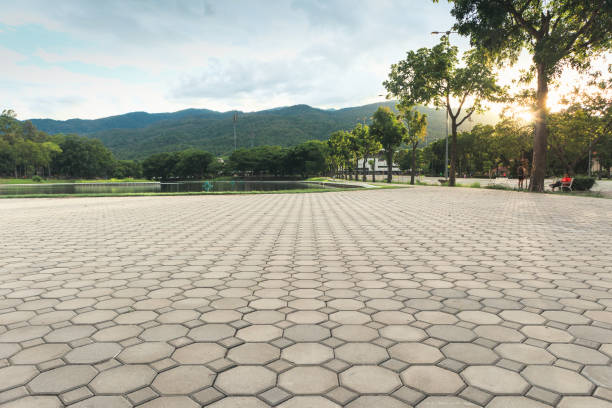 Best Driveway Repair Near Me  in Lake Camelot, IL